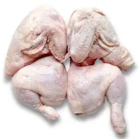 Ayam broiler kecil Lamongan