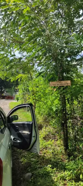 Tanah Murah Pekarangan Cocok Perumahan