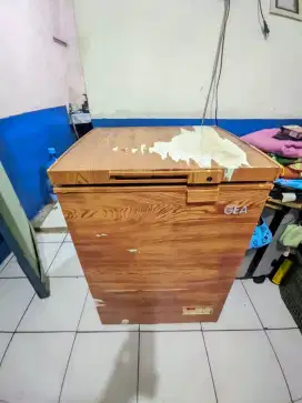Freezer merk GEA 100L