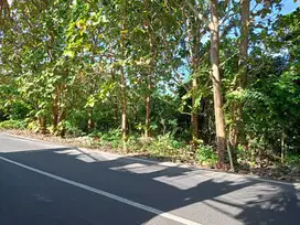 Dijual tanah yang berlokasi di utama jl blimbing sari,kuta selatan,