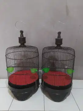 kandang Lb tanggung