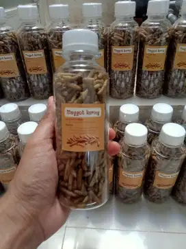 Maggot Kering. Berat bersih 50gram