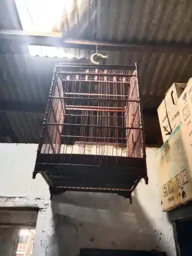 Kandang besar kekar minusan