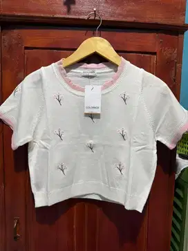 Colorbox baru kekinian