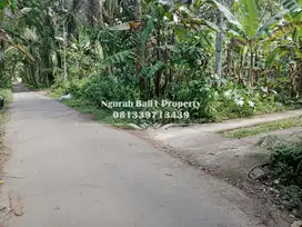 Dijual Tanah Murah Luas 2 Are View Hutan di Kelusa