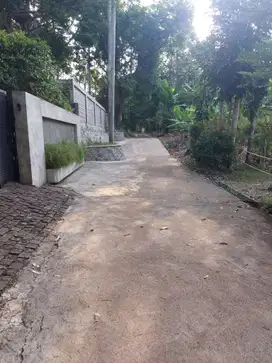 Tanah Kebun Duren Murah Cocok Untuk Investasi di Gunungpati