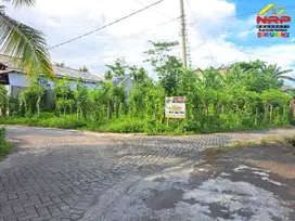 Dijual Tanah di Ketapang Banyuwangi dekat Pabrik INKA dan Pelabuhan