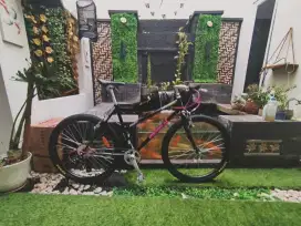 Federal Lady Commuter bike