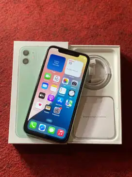 iPhone 11 64 gb ex inter all operator