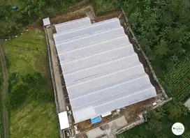 Dijual Perkebunan Holtikultura di Tutur Nongkojajar Pasuruan