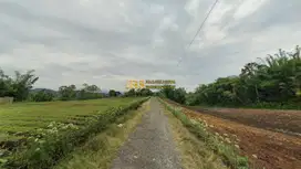 Dijual Tanah Kosong di Jalan Kubucolia - Seberaya, Karo