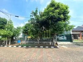 Rumah Asri 5 KT 11 Menit ke Gerbang Tol Cibubur 2 Dibantu KPR J-19361