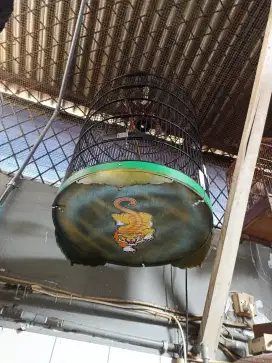 Sangkar murai batu
