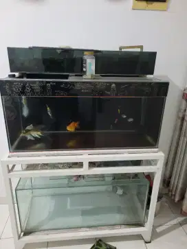 Aquarium Masih Bagus