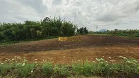 Jual Tanah Kosong di daerah Karo Jalan Kubucolia - Seberaya