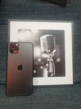 Iphone 11 pro 256gb inter sinyal paten