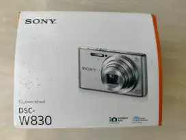 Kamera Sony DSC W830