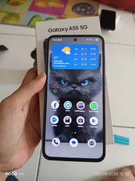Samsung Galaxy A55 5G