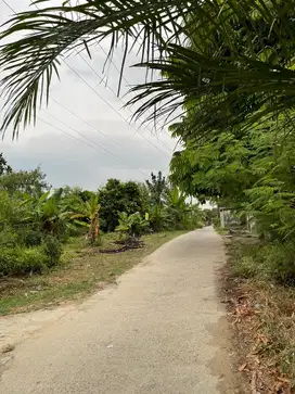 Dijual Cepat Tanah Ukuran 40x30 surat SHM, Lokasi Jl sei Mintan