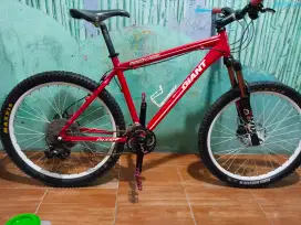 Giant inova disc full upgrade