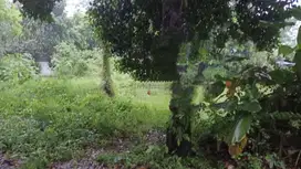 Jual Tanah Di Bawah NJOP, Kp. Durian Seribu, Bojongsari, Depok