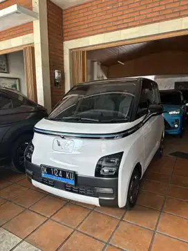 Cash - Wulling Airev Long Range 300 km