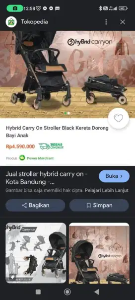 Stoler hybird carry on