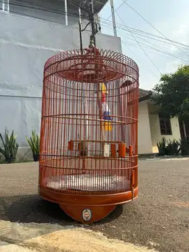 sangkar kandang murai rafi no 2 like new