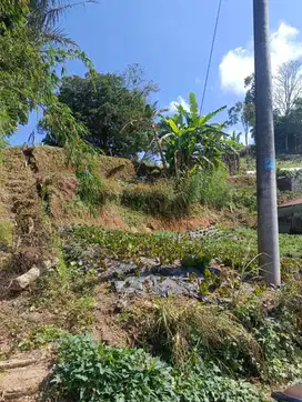 Tanah View 180° Danau Beratan Bedugul 2.150 m² – Rp 3,5jt/m² Nego