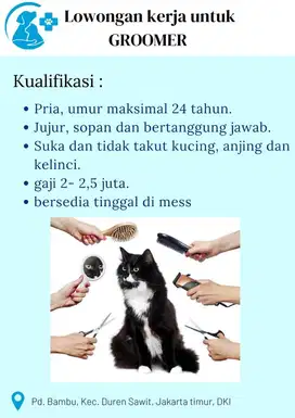 Lowongan pekerjaan untuk groomer