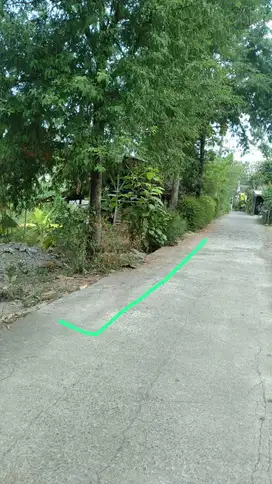 TANAH KAVLING DEKAT JL KASONGAN 96M2 200JT AKSES JALAN MOBIL.JK13424