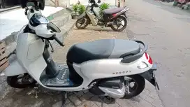 Honda scoopy prestige 2025