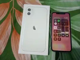 iPhone 11 64 GB ibox
