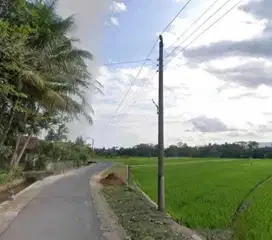 INVESTASI TANAH SAWAH 543M2 439JT NEGO DEKAT JL GODEAN .JK13429