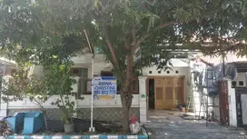 Rumah Manyar Jaya Disewakan