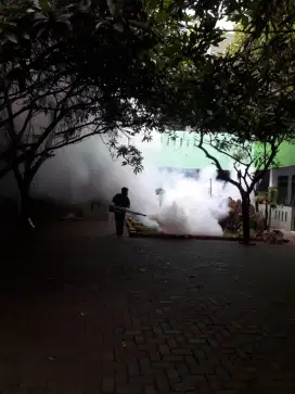Jasa basmi rayap, Foging nyamuk, basmi Tikus, Kecoa dan Sterilisasi.