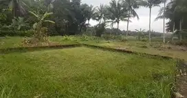 TANAH KAVLING VIEW SAWAH TERSEDIA 3 DKT JL GOTAKAN KULON PROGO.JK13430
