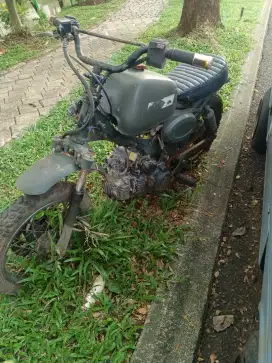 kawasaki kaze monkey