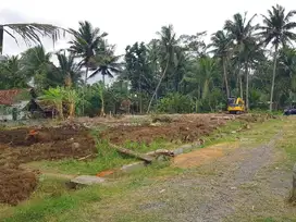 Iklan Tanah Jl. Temon - Kokap Kulon Progo Dekat Pasar Pripih