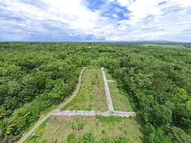 Tanah  Panjatan Dekat Exit Tol Wates-Jogja