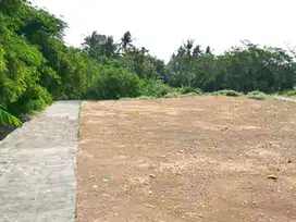 Tanah Ngombol Purworejo Dekat Pantai Jati Malang