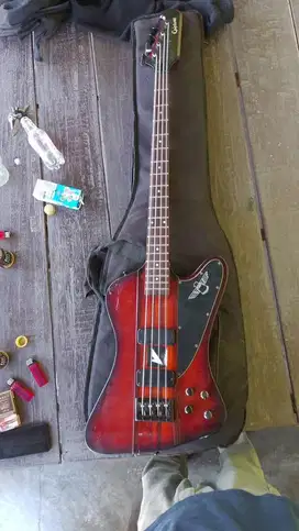 Bass Epiphone Thunderbirth IV
