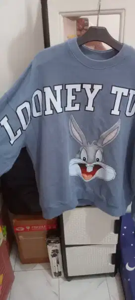 Dijual. CN LOONEY TUNES Over size mulus