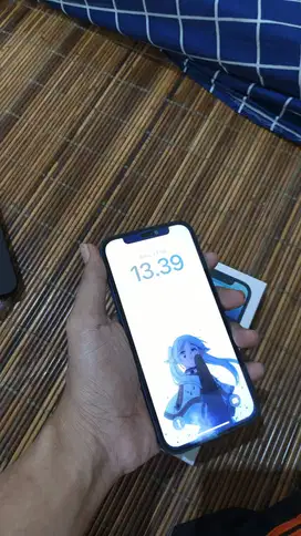 Iphone 12 128GB inter (wifi only) mulus