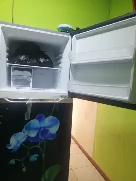 Kulkas polytron 2 pintu