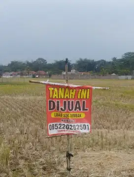 TANAH SAWAH DIJUAL 200 TUMBAK