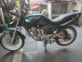Tiger lawas 1994