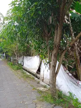 Tanah Nogotirto Dekat JCM Untuk Rumah Premium