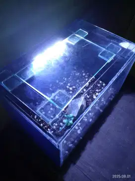 Aquarium Ikan + Aerator + Lampu LED + Pasir Siapa Cepat aja