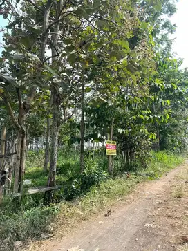 Tanah area pemukiman, cocok untuk hunian/kontrakan/kost/investasi